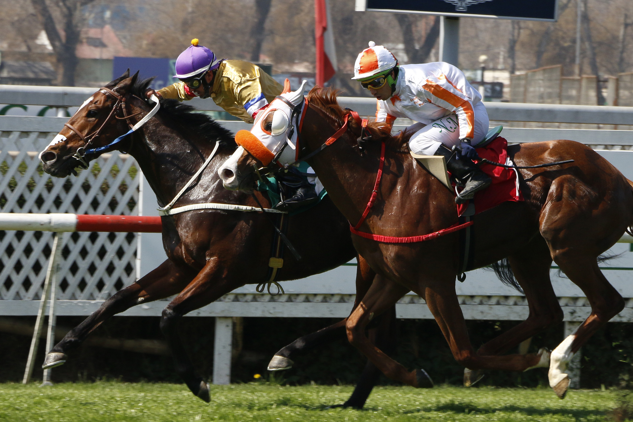 Lord Of The Wind (Remote) gana Handicap (1000m-Pasto-CHS).